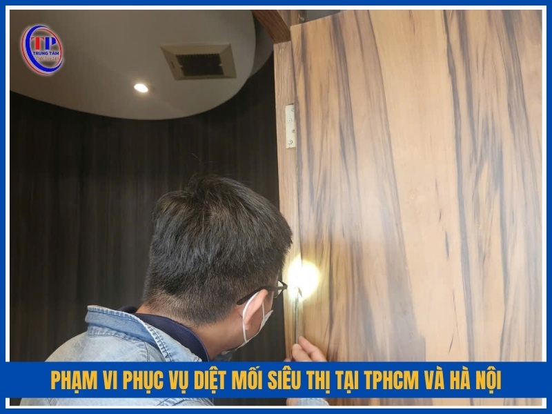 Phạm vi phục vụ diệt mối siêu thị tại TPHCM và Hà Nội