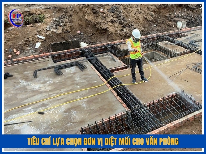 tiêu chí lựa chọn đơn vị diệt mối cho văn phòng