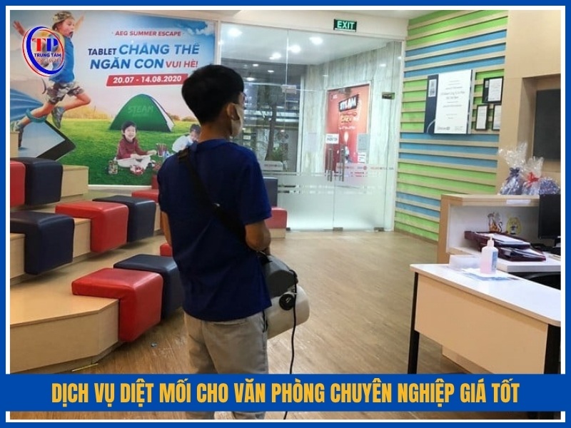 Dịch vụ diệt mối cho văn phòng chuyên nghiệp giá tốt