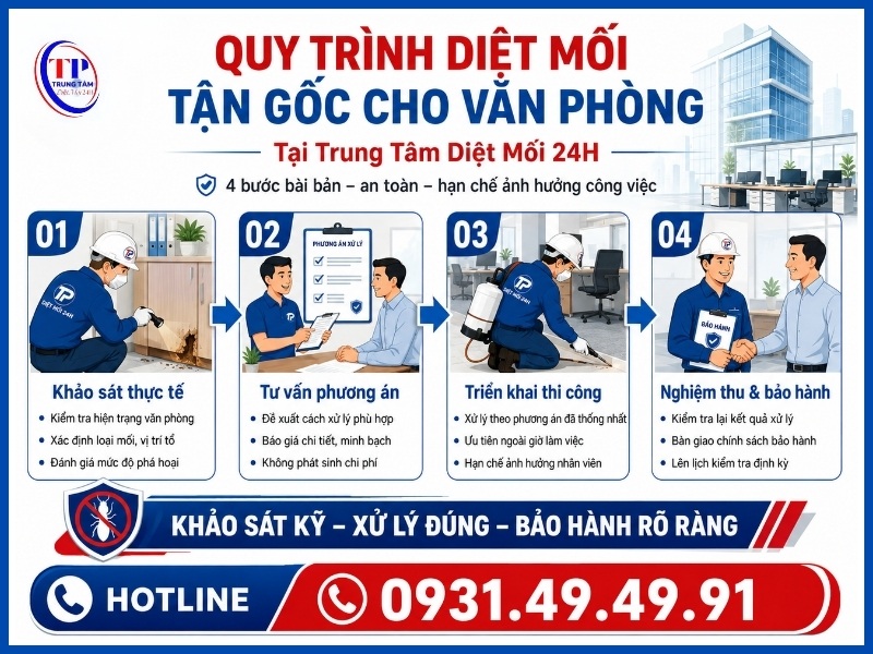 Quy trình 4 bước diệt mối tận gốc cho văn phòng tại Trung Tâm Diệt Mối 24H