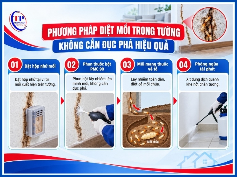Phương pháp diệt mối trong tường không cần đục phá hiệu quả