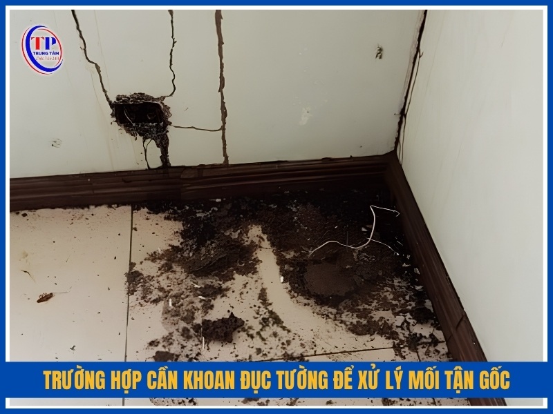 Trường hợp cần khoan đục tường để xử lý mối tận gốc