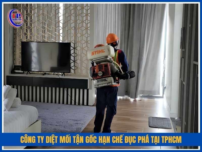 Công ty diệt mối tận gốc hạn chế đục phá tại TPHCM