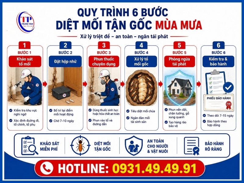 Quy trình 6 bước diệt mối tận gốc mùa mưa
