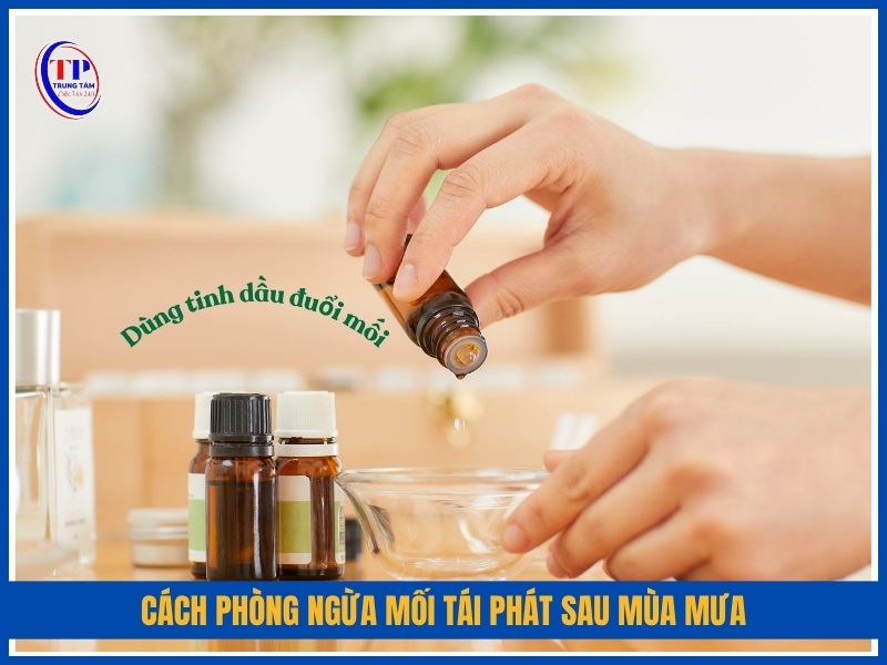 cách phòng ngừa mối tái phát sau mùa mưa