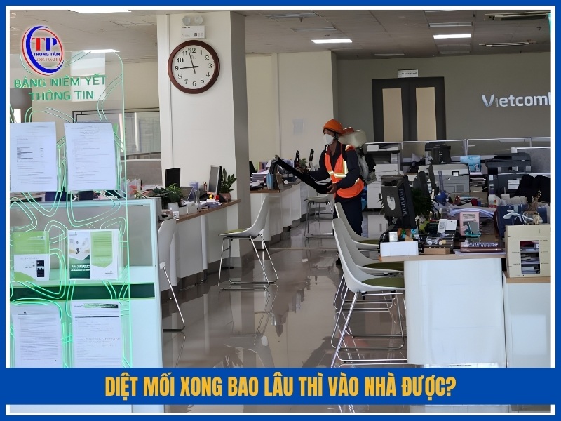 Diệt mối xong bao lâu thì vào nhà được?