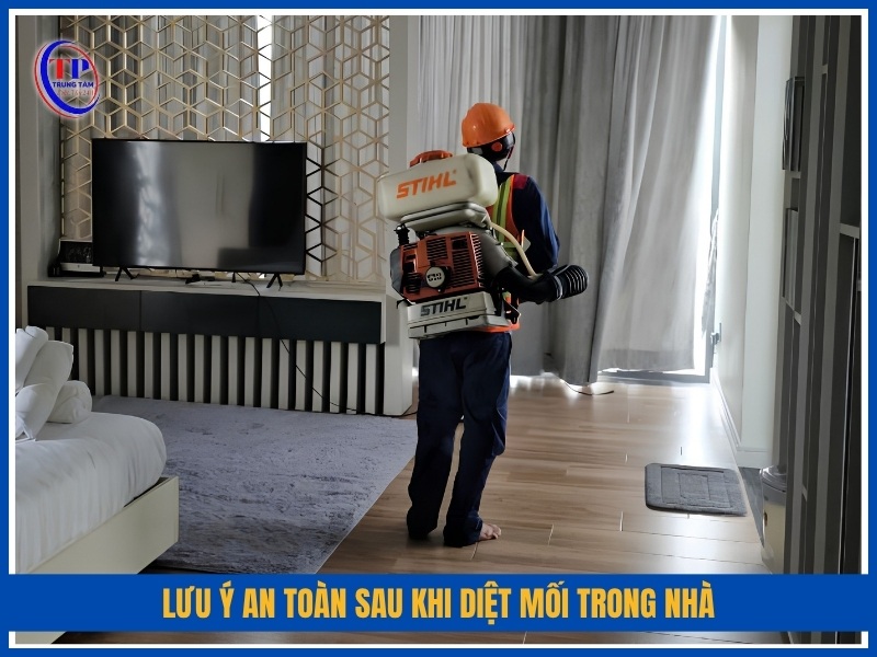 lưu ý an toàn sau khi diệt mối trong nhà
