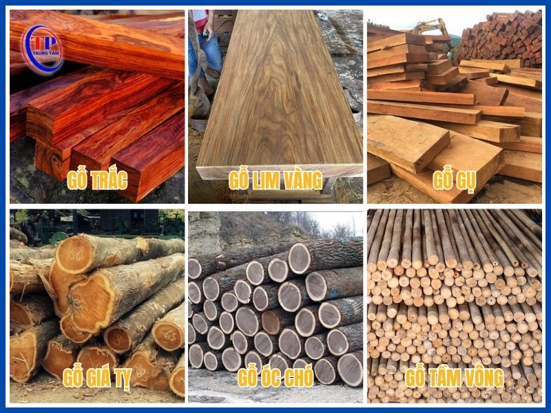 loại gỗ không bị mối mọt hiệu quả