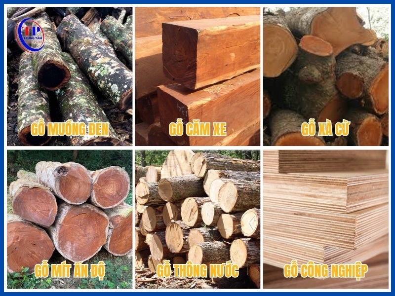 loại gỗ không bị mối mọt tốt