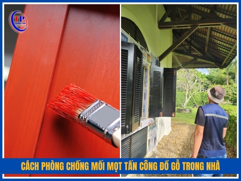 cách phòng chống mối mọt tấn công đồ gỗ trong nhà