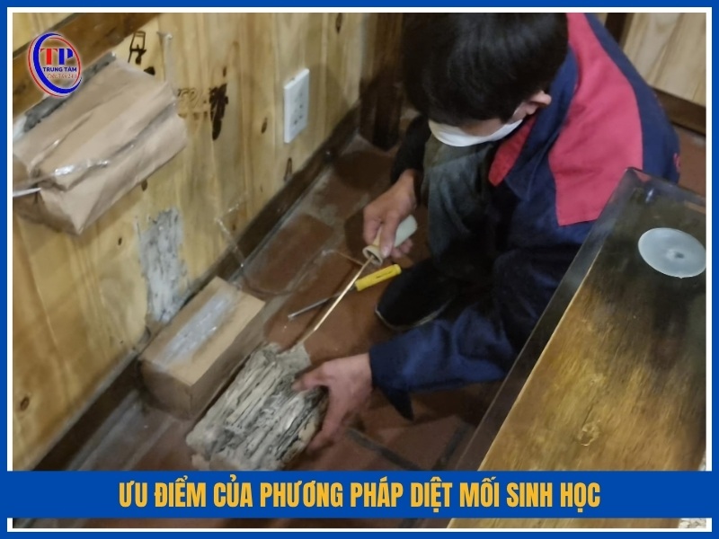  ưu điểm của phương pháp diệt mối sinh học