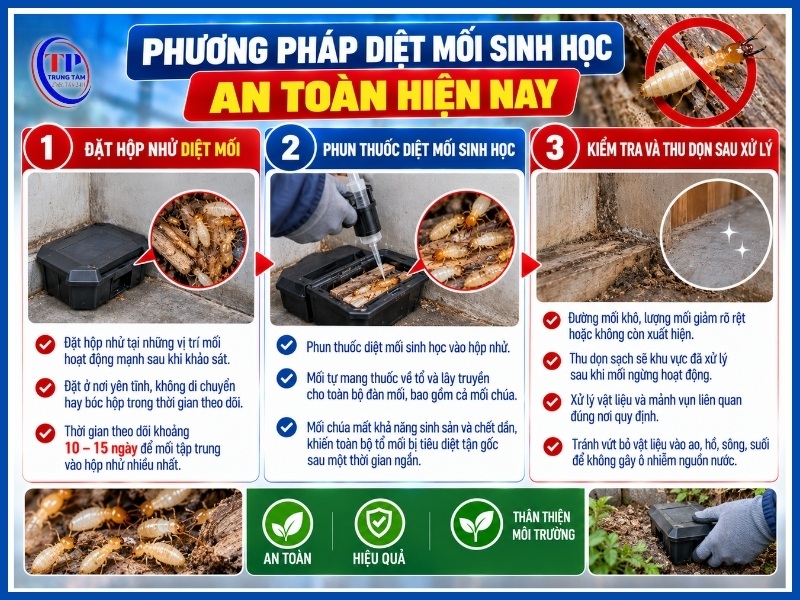 Phương pháp diệt mối sinh học an toàn hiện nay