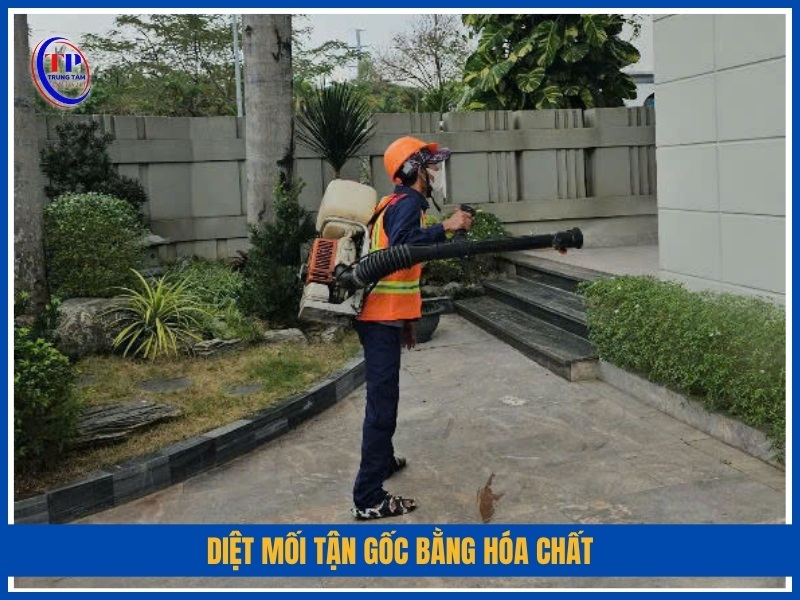 Diệt mối tận gốc bằng hóa chất