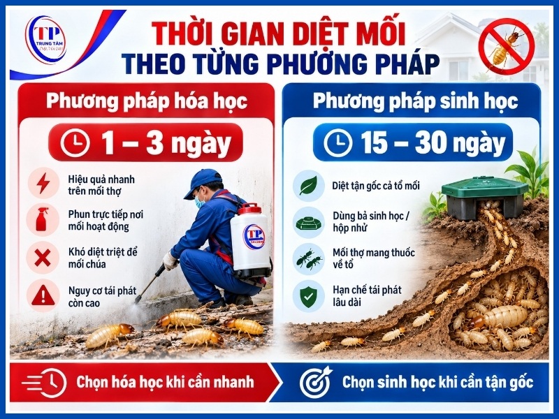 Thời gian diệt mối theo từng phương pháp