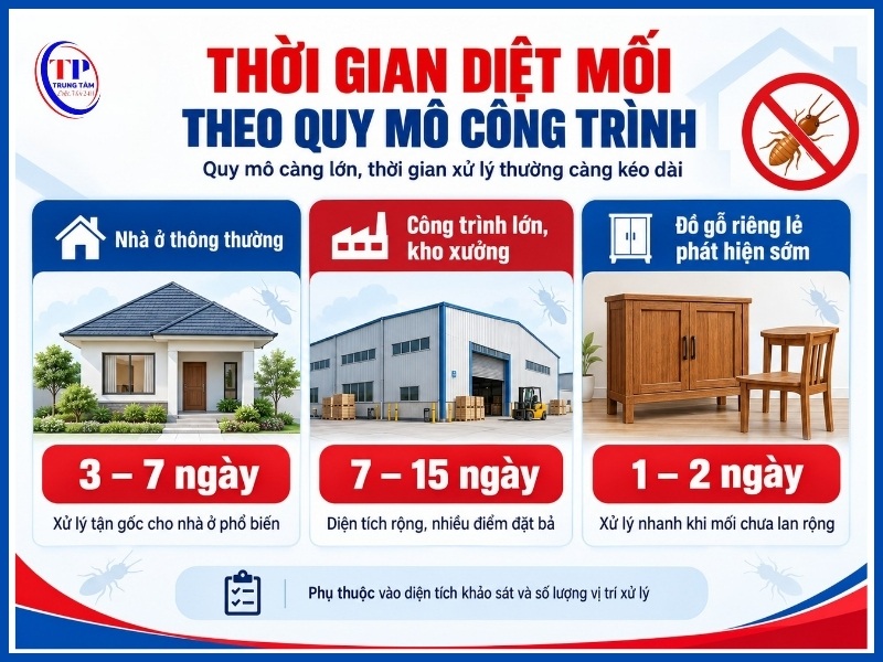 Thời gian diệt mối theo quy mô công trình