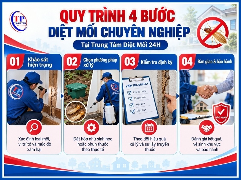 Quy trình 4 bước diệt mối chuyên nghiệp tại Trung Tâm Diệt Mối 24H