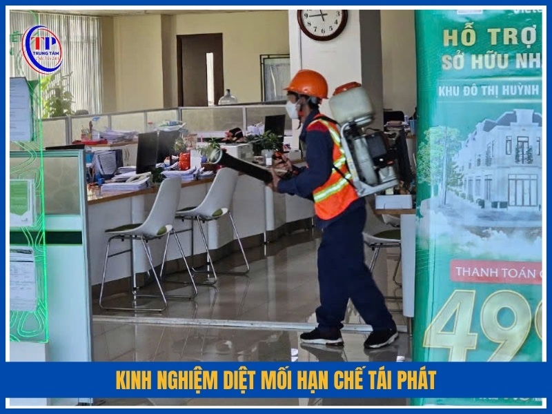 kinh nghiệm diệt mối hạn chế tái phát
