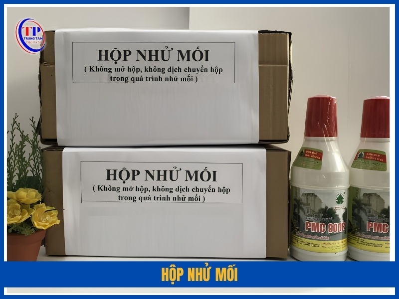 Hộp nhử mối