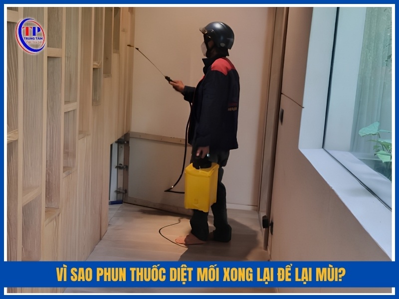 Vì sao phun thuốc diệt mối xong lại để lại mùi?