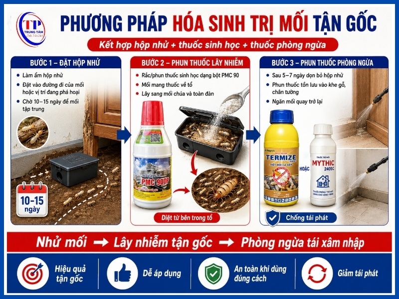 Phương pháp hóa sinh trị mối tận gốc