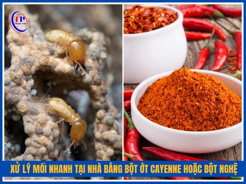 xử lý mối nhanh tại nhà bằng Bột ớt cayenne hoặc bột nghệ