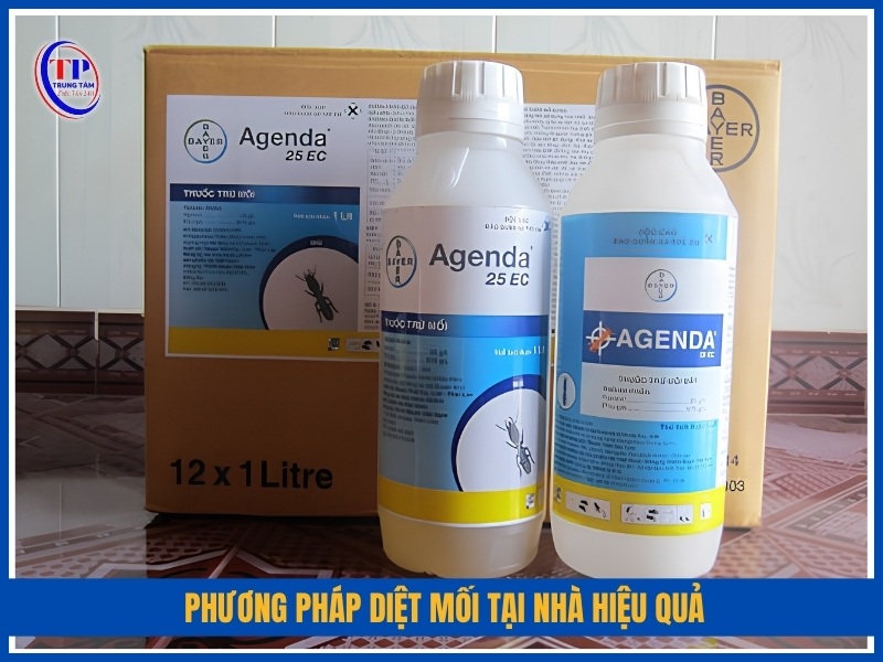 Các phương pháp diệt mối tại nhà hiệu quả