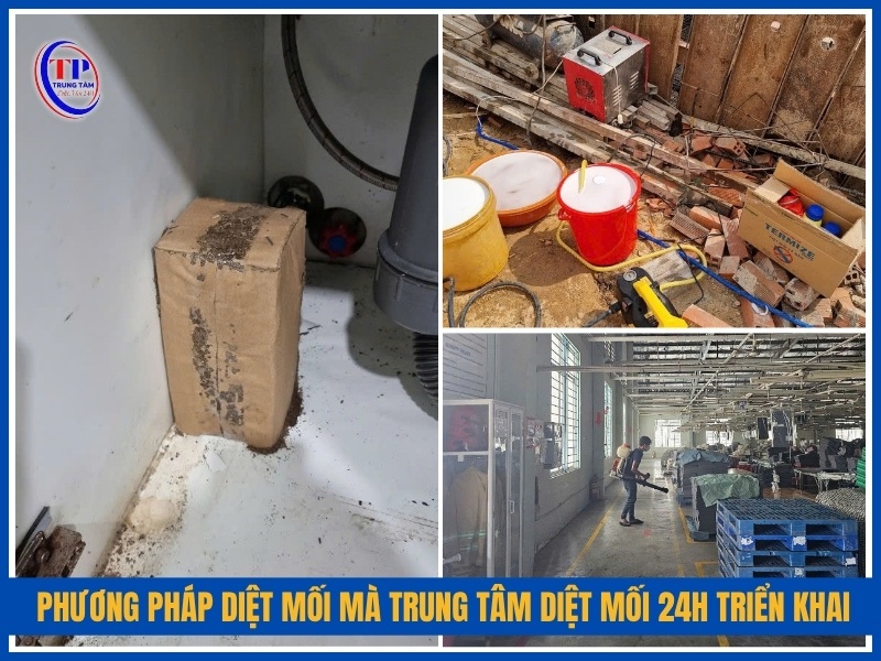 Phương pháp diệt mối tại miền Bắc mà Trung Tâm Diệt Mối 24H triển khai