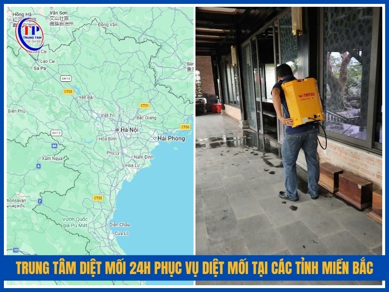 Trung Tâm Diệt Mối 24H phục vụ diệt mối tại các tỉnh miền Bắc nào?