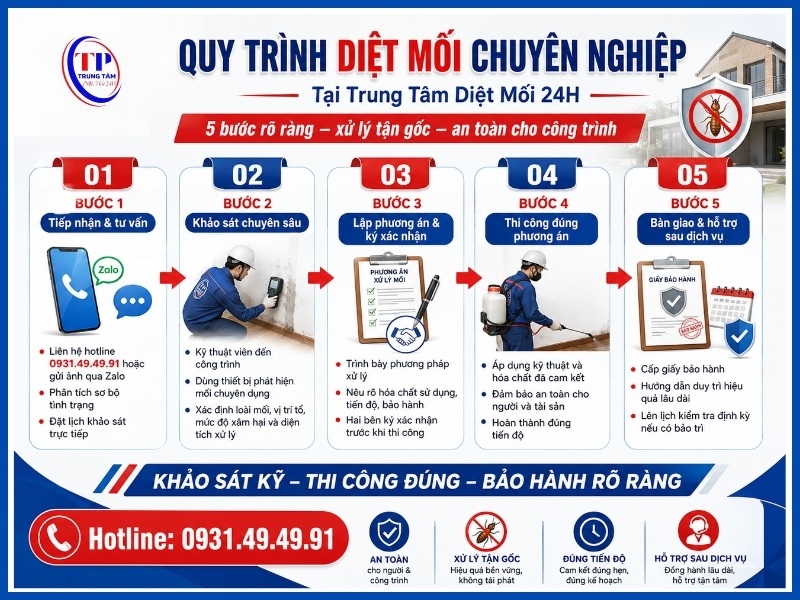 Quy trình 5 bước diệt mối chuyên nghiệp tại Trung Tâm Diệt Mối 24H