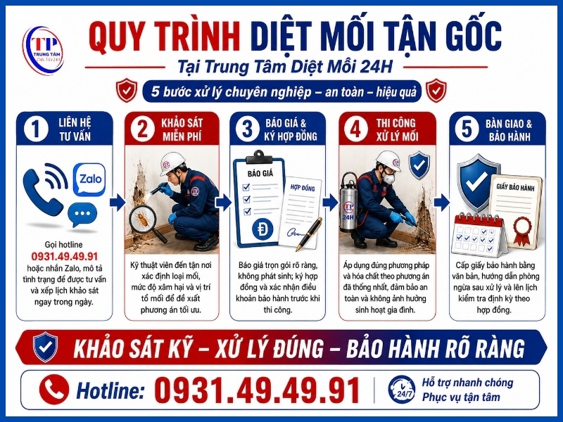 Quy trình diệt mối tận gốc tại Trung Tâm Diệt Mối 24H
