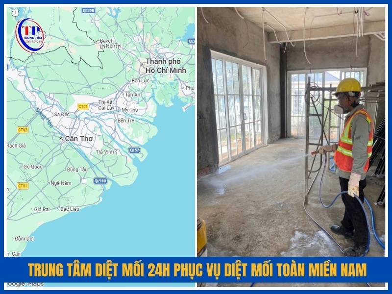 Trung Tâm Diệt Mối 24H phục vụ diệt mối toàn khu vực miền Nam