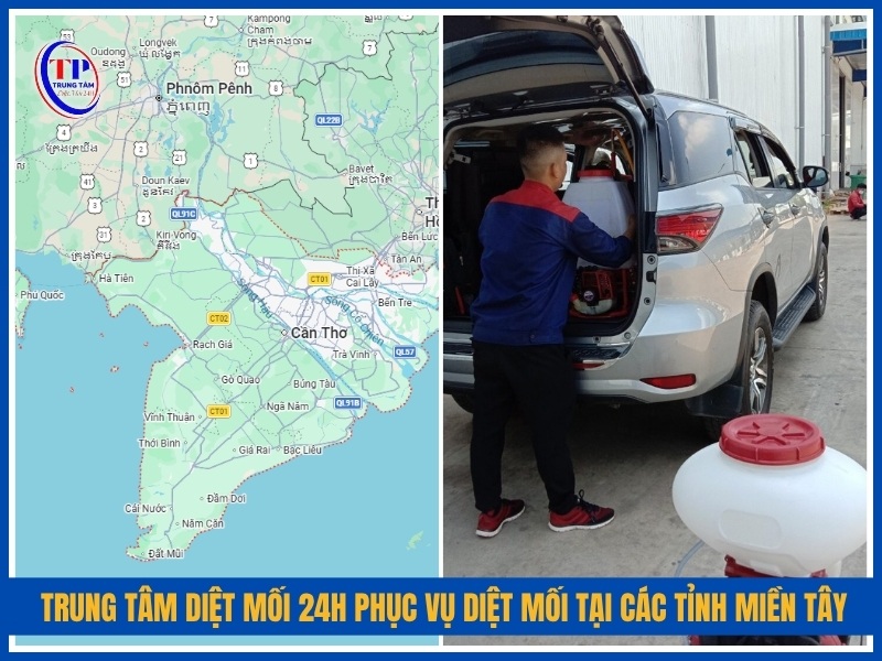Trung Tâm Diệt Mối 24H phục vụ diệt mối tại các tỉnh miền Tây nào?
