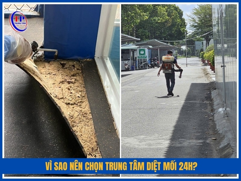 Vì sao nên chọn Trung Tâm Diệt Mối 24H?