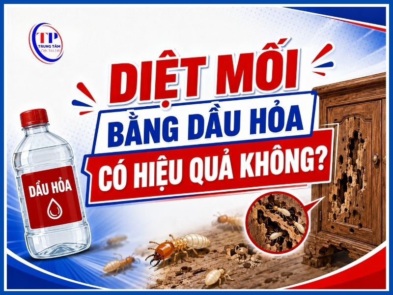 Diệt mối bằng dầu hỏa có hiệu quả không?