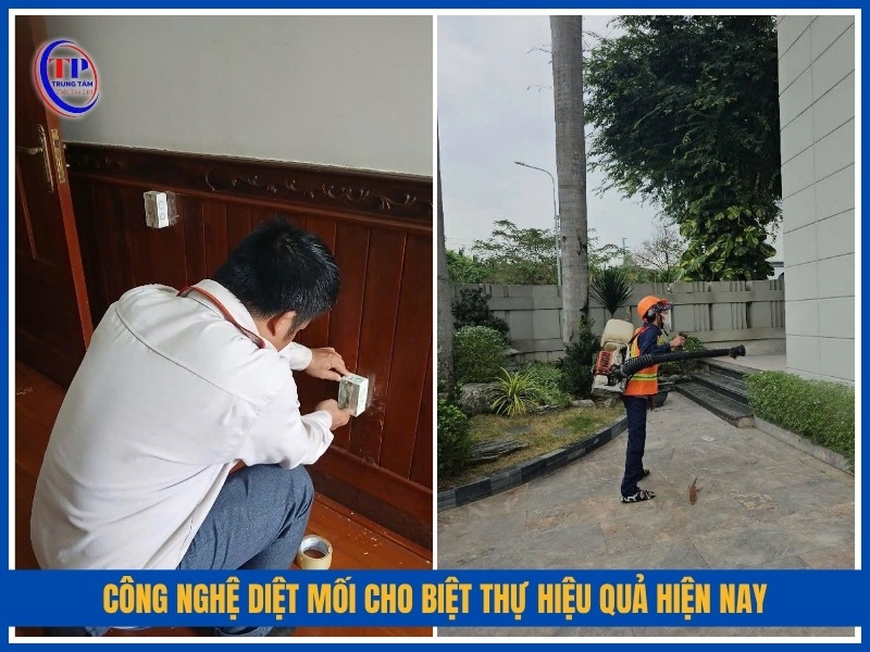 công nghệ diệt mối cho biệt thự hiệu quả hiện nay