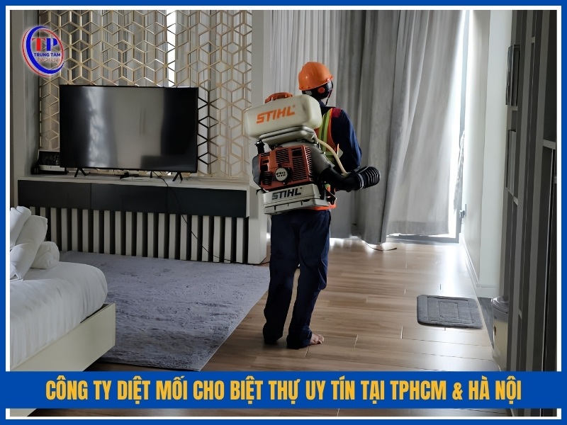 Công ty diệt mối cho biệt thự uy tín chuyên nghiệp tại TPHCM & Hà Nội