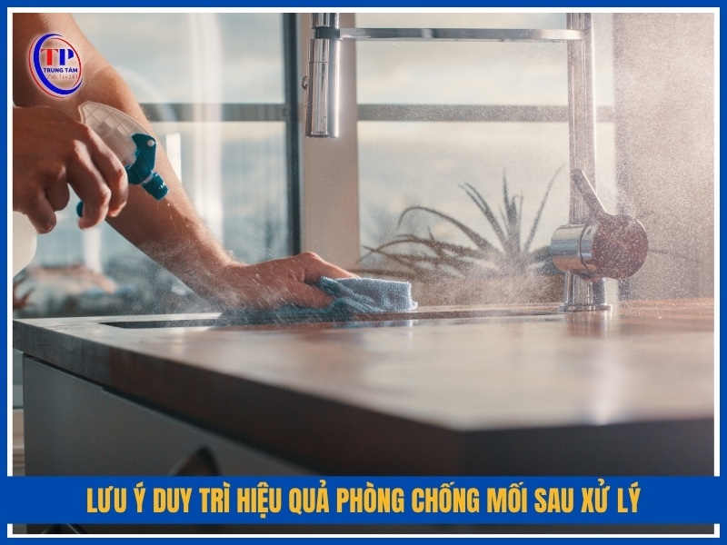 lưu ý duy trì hiệu quả phòng chống mối sau xử lý