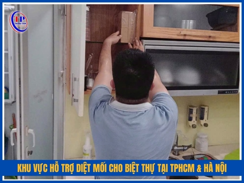 Khu vực hỗ trợ diệt mối cho biệt thự tại TPHCM & Hà Nội