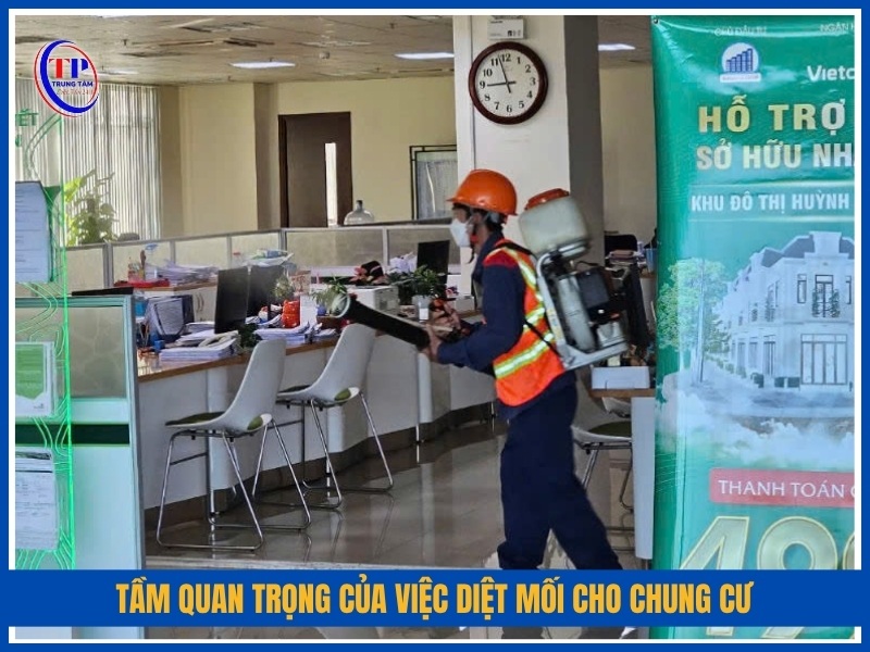 Tầm quan trọng của việc diệt mối cho chung cư