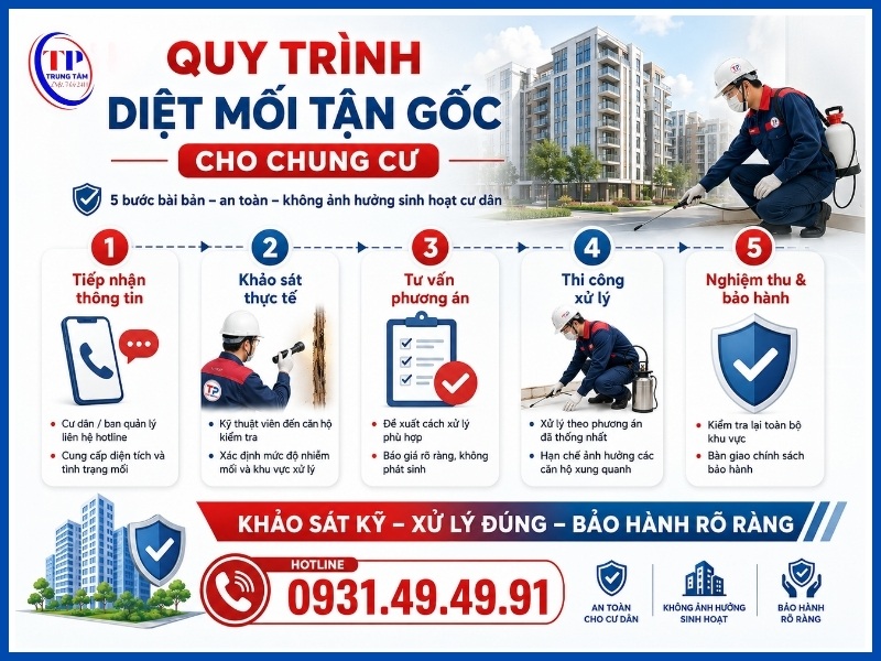 Quy trình 5 bước diệt mối tận gốc cho chung cư