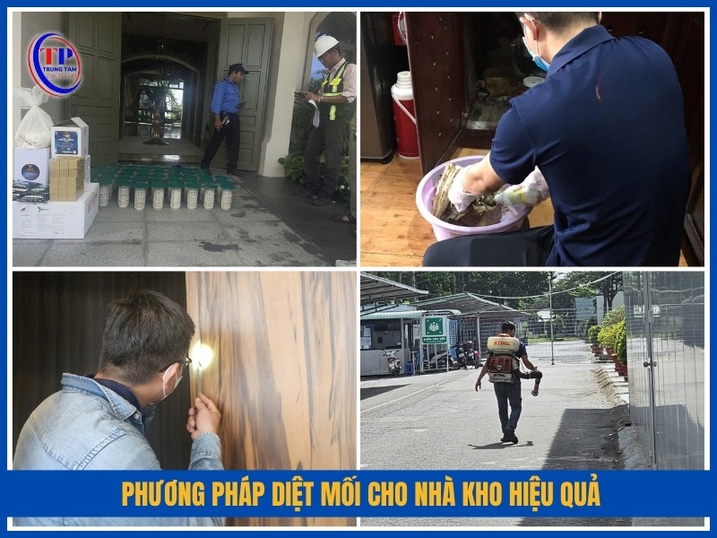 4 phương pháp diệt mối cho nhà kho hiệu quả