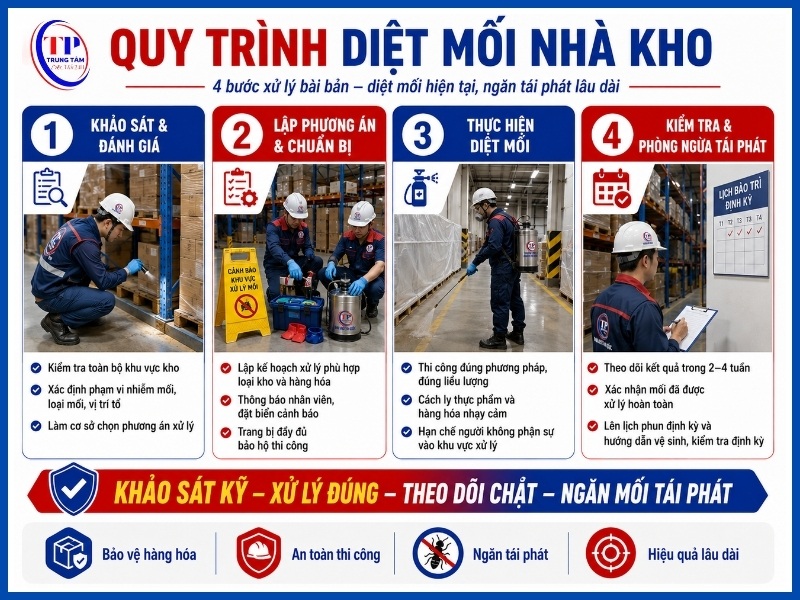 Quy trình 4 bước diệt mối nhà kho chuyên nghiệp