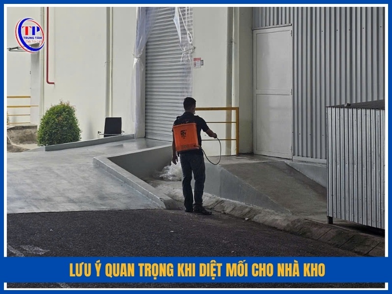 lưu ý quan trọng khi diệt mối cho nhà kho