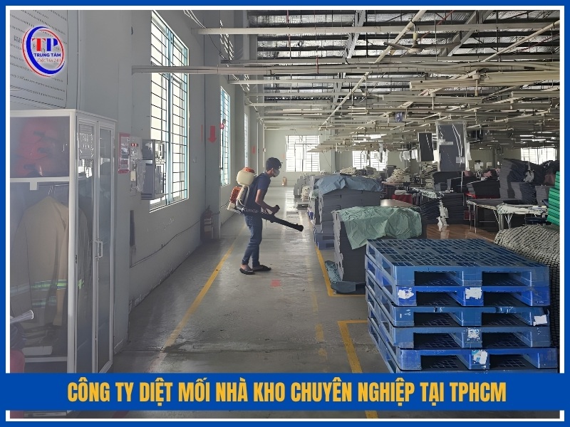 Công ty diệt mối nhà kho chuyên nghiệp tại TPHCM