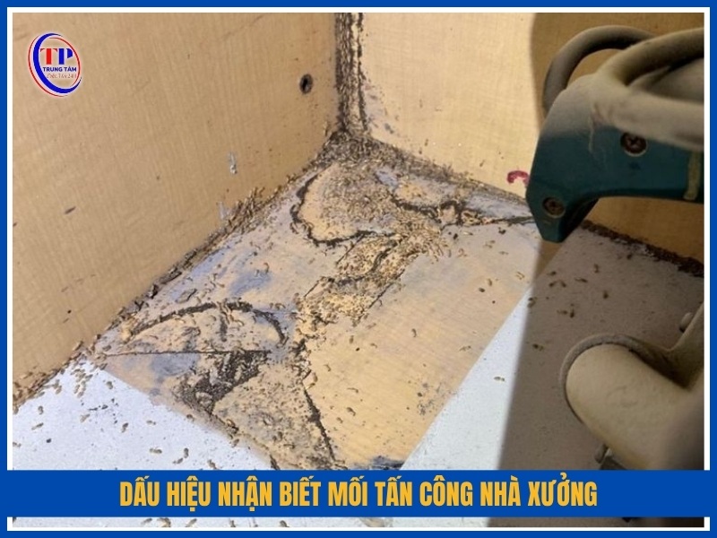 dấu hiệu nhận biết mối tấn công nhà xưởng