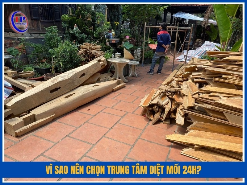 Vì sao nên chọn Trung Tâm Diệt Mối 24H?