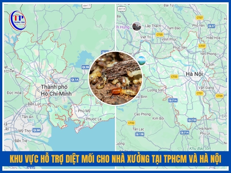 Khu vực hỗ trợ diệt mối cho nhà xưởng tại TPHCM và Hà Nội