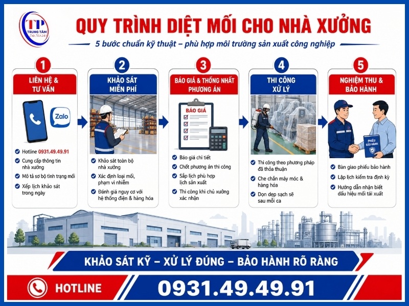 Quy trình diệt mối cho nhà xưởng gồm mấy bước?