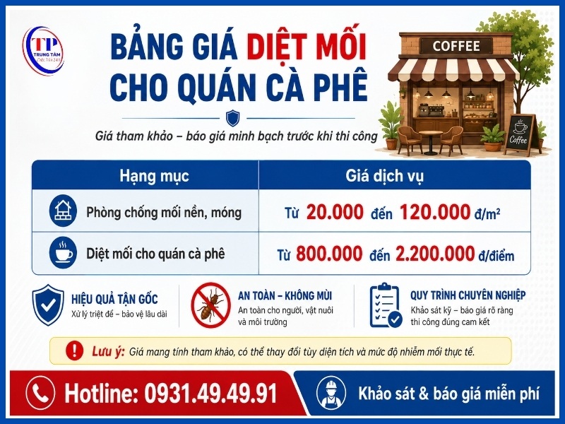 Bảng giá diệt mối cho quán cà phê mới nhất