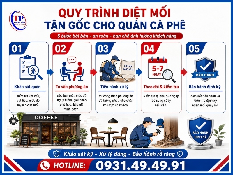 Quy trình 5 bước diệt mối tận gốc cho quán cà phê